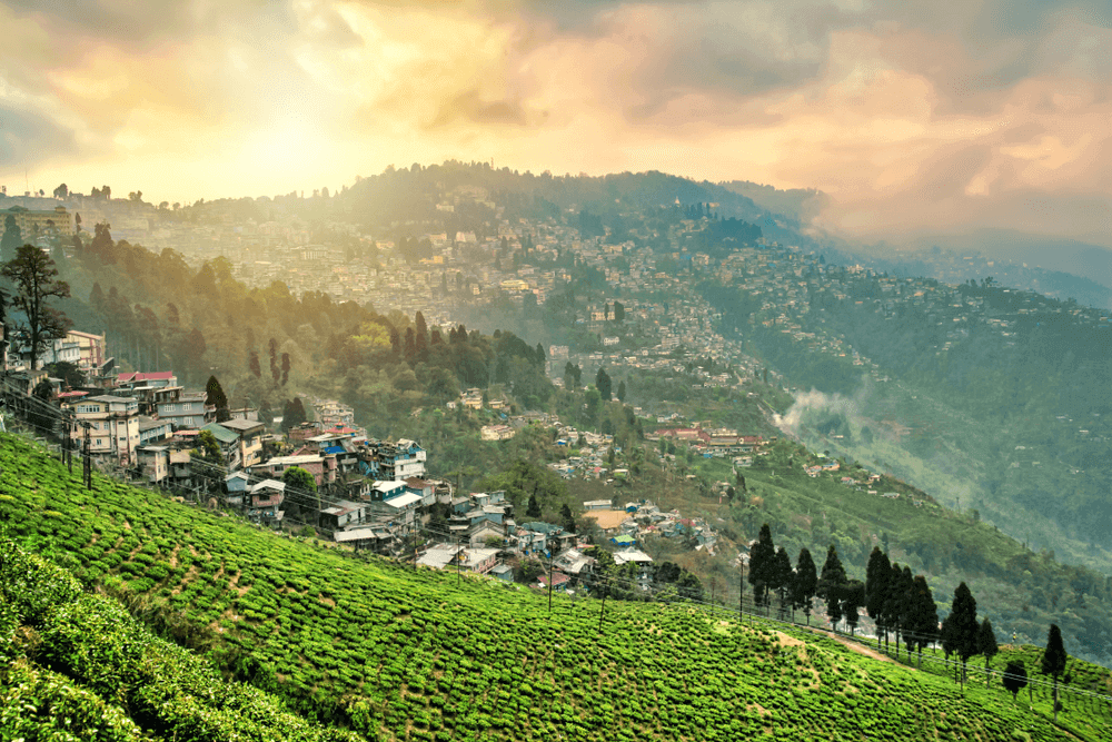 Darjeeling, West Bengal